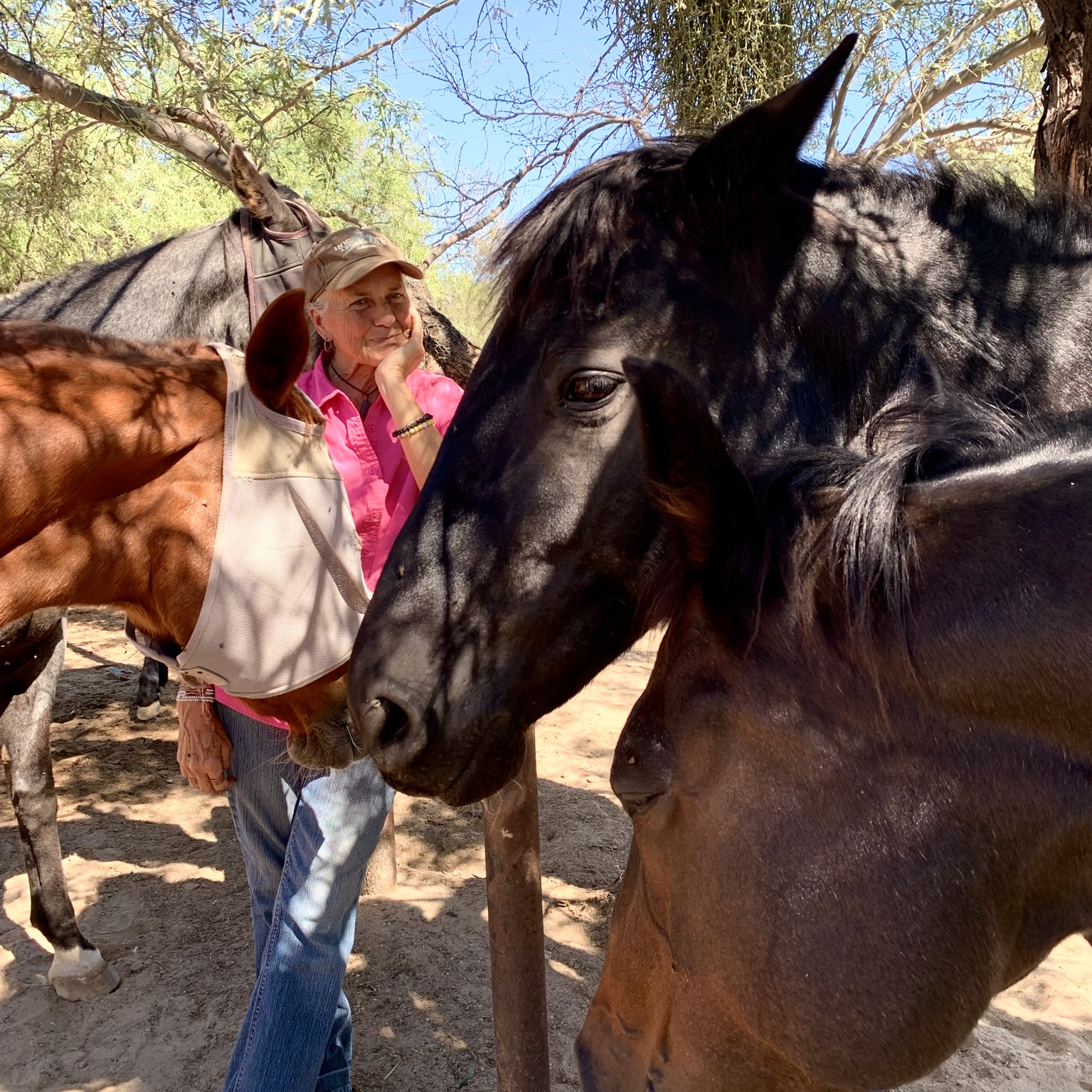 Jeanie Shepherd with the Equinimity herd