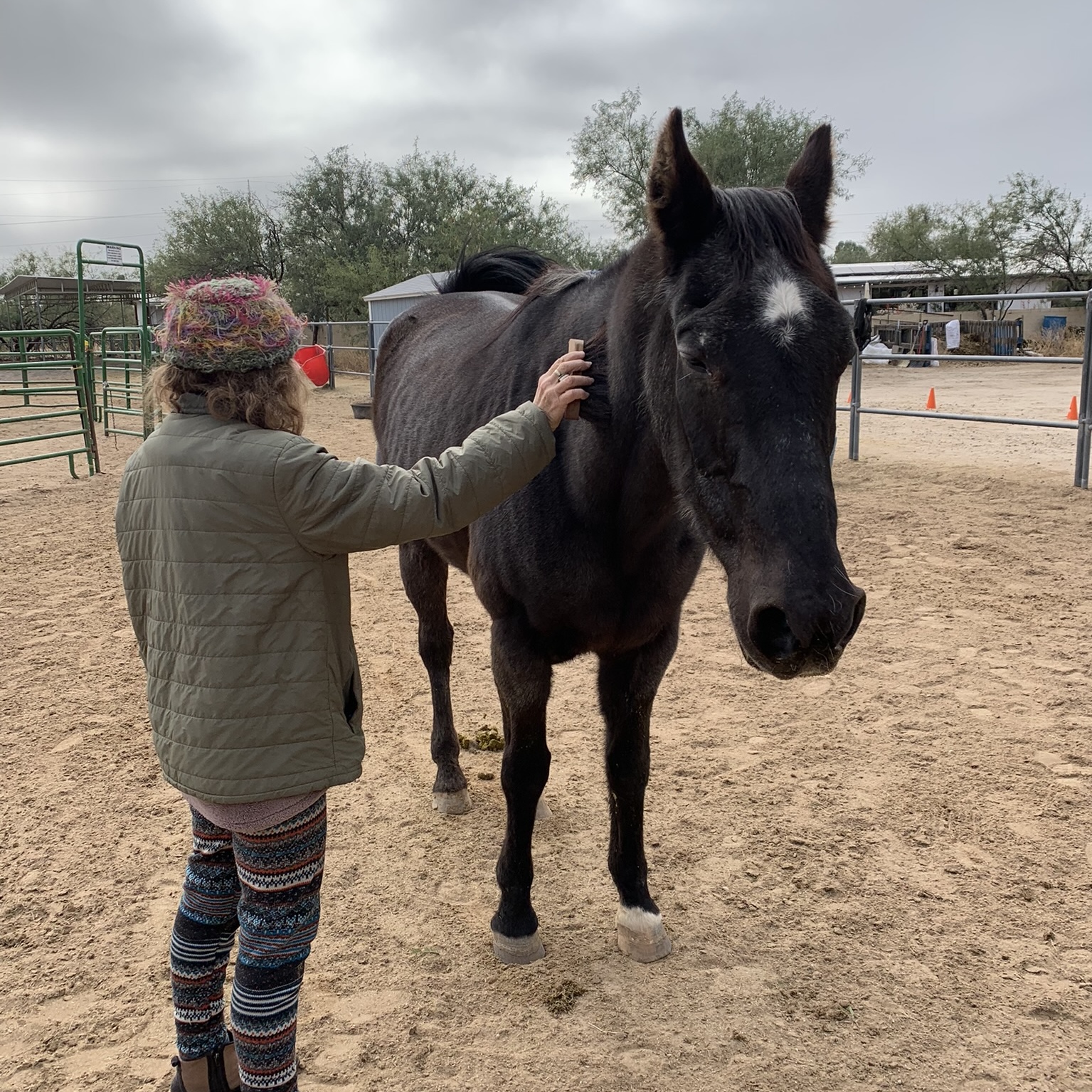 The Art and Science of Connection — Plus Lessons from the Herd