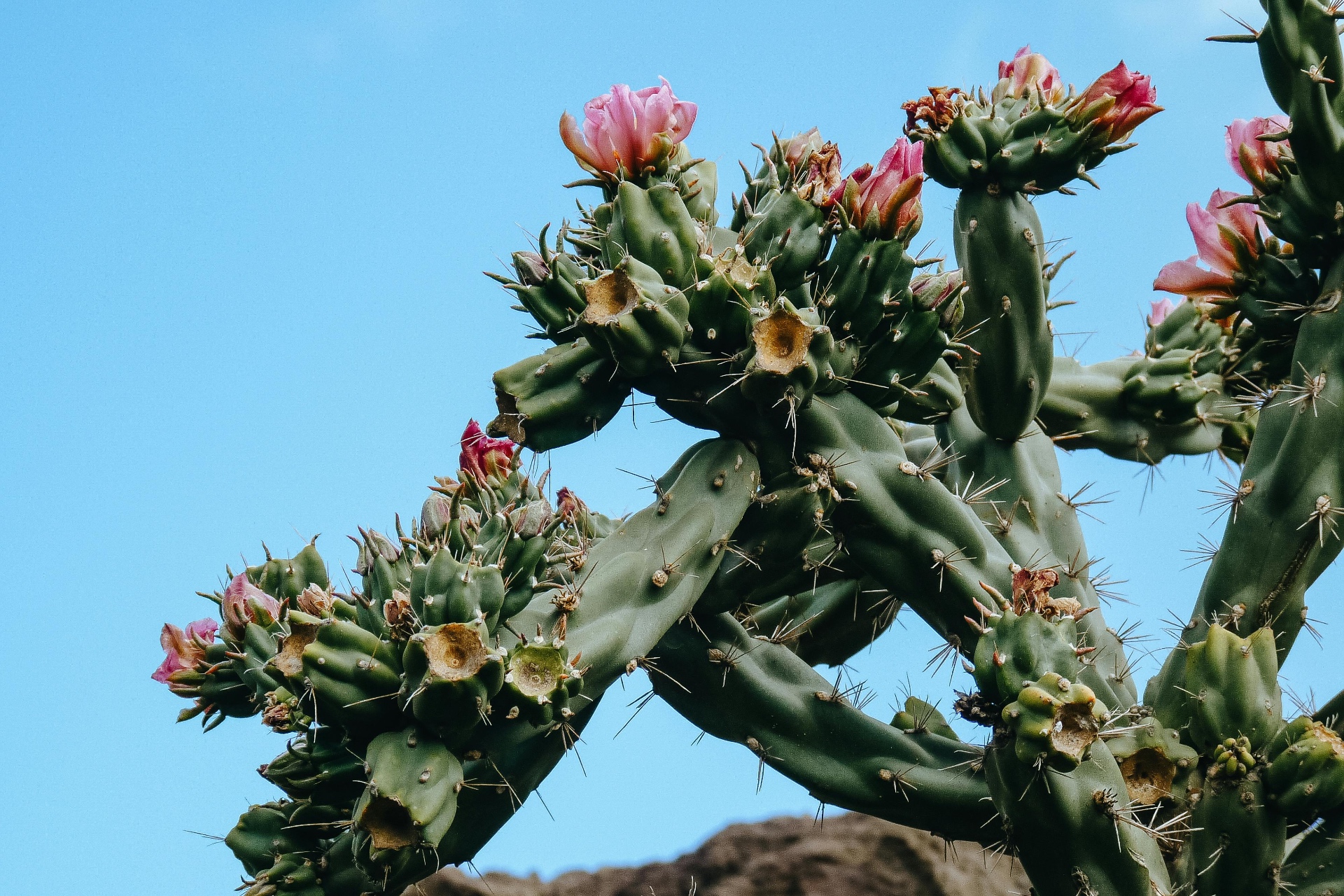 Growing with Ease: A Lesson from Spring