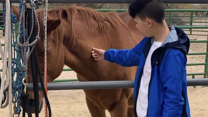 The Healing Power of Horses and the Community They Inspire